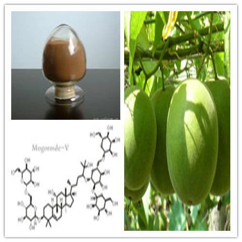 Organic 50_ Mogroside V Luo han guo extract bulk powder
